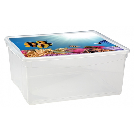 Ящик для игрушек с декором 18л, Арт.С12817