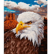 Картина по номерам Schipper Белоголовый орлан Арт. 9240665