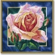Картина по номерам Schipper Роза Арт. 9250409