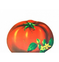 HY-FS90010/15(08-017)