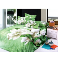 Постельное белье Cleo декоративный шелк  арт.433-S