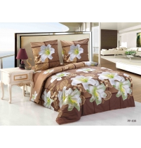 Постельное белье Cleo поплин  арт.036-PP