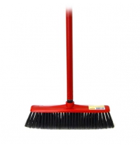 Щетка с палкой 'Aster' арт.3001310