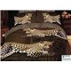 Комплект постельного белья Tango Евро арт. cs399-3