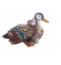 Утка кряква с утятами 20х35 см АФ0150 арт.0018