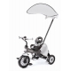 Велосипед трехколесный Italtrike Magic Silver       