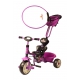 Велосипед трехколесный Rich Trike T-18 F purple